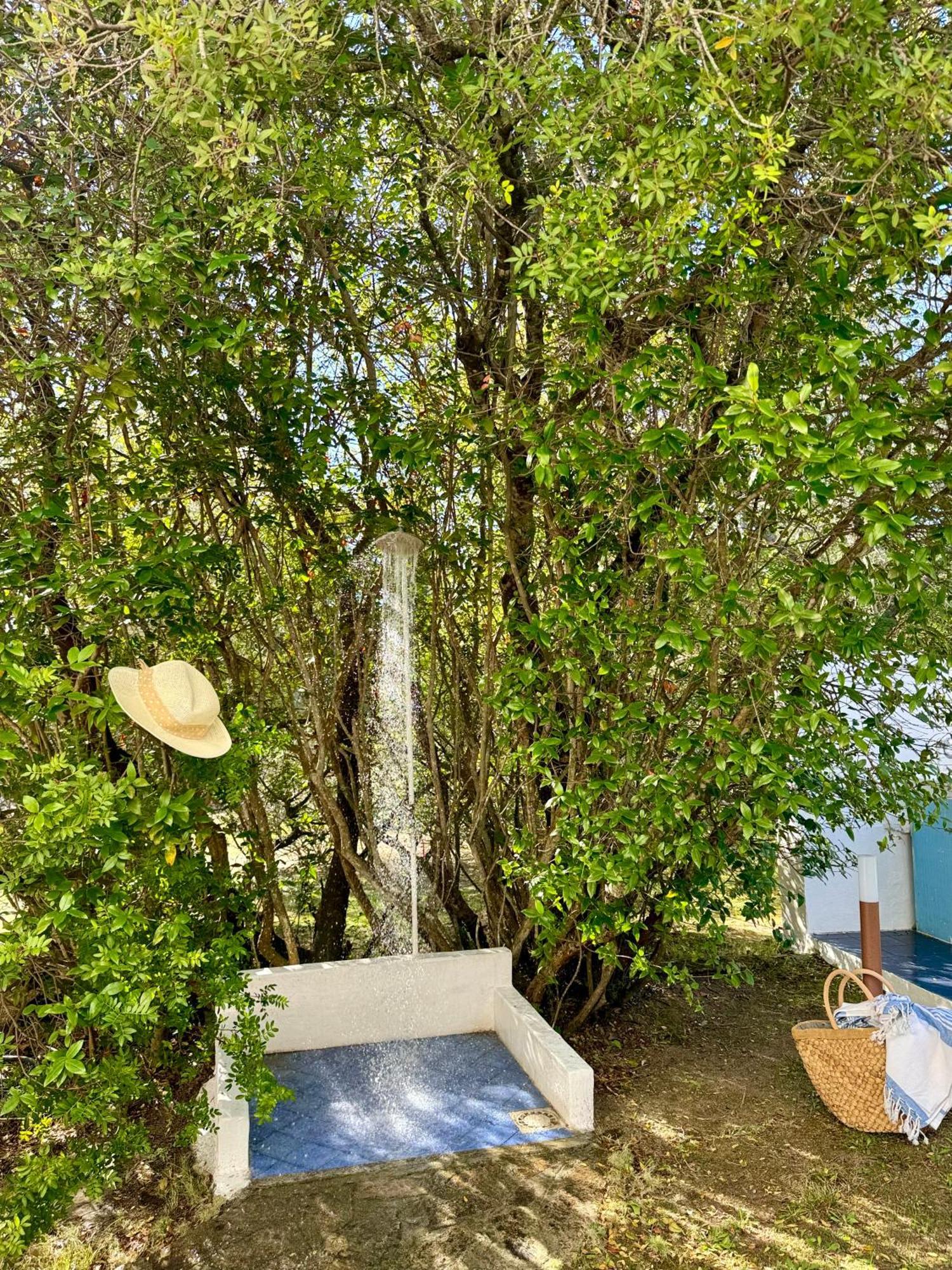 Garden Retreat - Homey Experience Ольбия Экстерьер фото